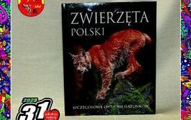 Przedmioty podarowane przez gminę. 1