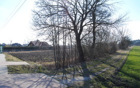 Rada Miejska podjęła dzisiaj uchwałę o&nbsp;nazwie dla drogi - będzie to R&oacute;żane Wzg&oacute;rze. 2