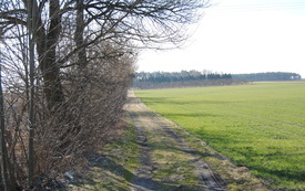 Rada Miejska podjęła dzisiaj uchwałę o&nbsp;nazwie dla drogi - będzie to R&oacute;żane Wzg&oacute;rze. 3