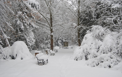 Zdjęcie do Zapraszamy w podr&oacute;ż po zimowej, przedświątecznej gminie Włoszczowa