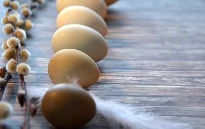 Zdjęcie do W Świętokrzyskiem jaj więcej, ale na Wielkanoc droższe