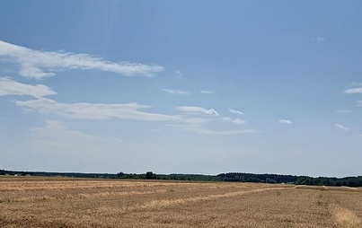Zdjęcie do Rozpoczęcie żniw tylko w środę lub sobotę? Rolnicy nie odchodzą od tej tradycji