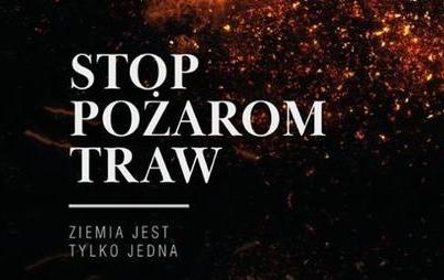 Zdjęcie do To jest prawdziwa wiosenna plaga. Zn&oacute;w wypalanie traw