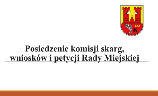 Zdjęcie do Posiedzenie komisji skarg, wniosk&oacute;w i petycji Rady Miejskiej