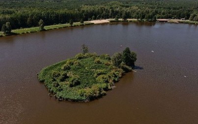 Zdjęcie do Na kąpielisku Klekot zakwitły sinice. Jest zakaz kąpieli