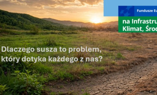Susza – zatrzymajmy wodę, zanim jej zabraknie