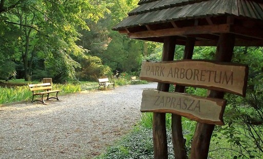 Arboretum w Czarncy będzie nosić imię Mariana Chudzińskiego