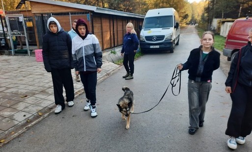Uczniowie z pomocą dla bezdomnych zwierząt. Dary trafiły do schroniska w Rytlowie