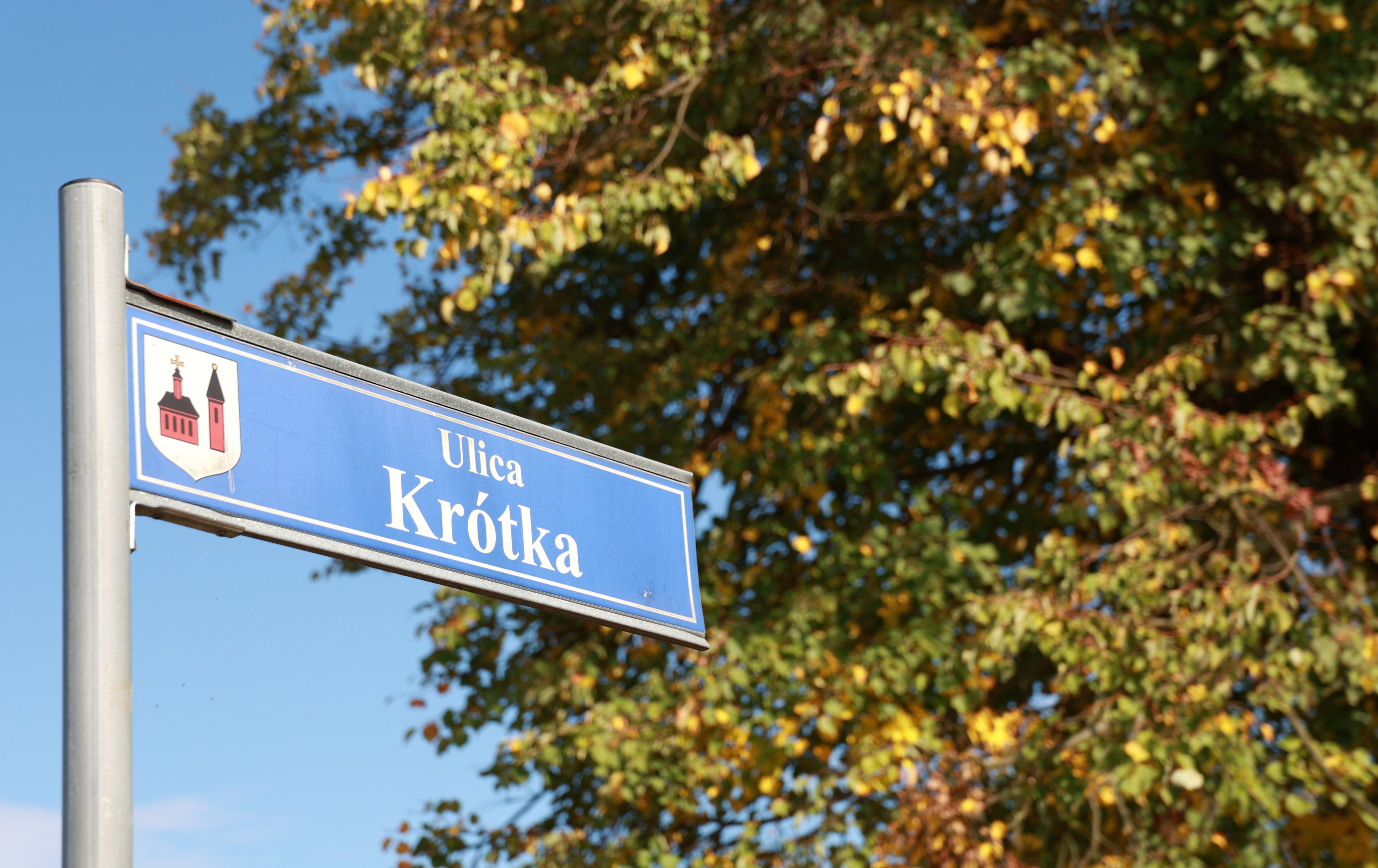 Zdjęcie artykułu z dnia 25-09-2026